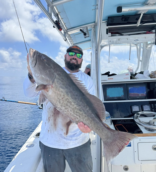 Catch of the day, Panama City style.